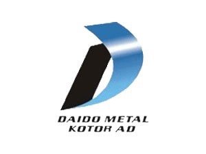 Daido metal